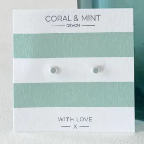 Coral And Mint Mini Pale Blue Circle Studs