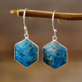 Ngiiny Blue Apatite Drop Earrings