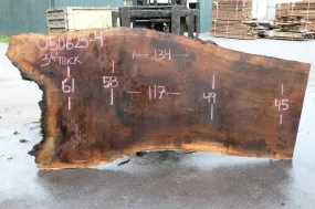 Oregon Black Walnut Slab 050623-04