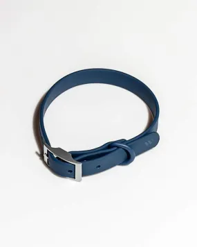 Wild One Blue Dog Collar