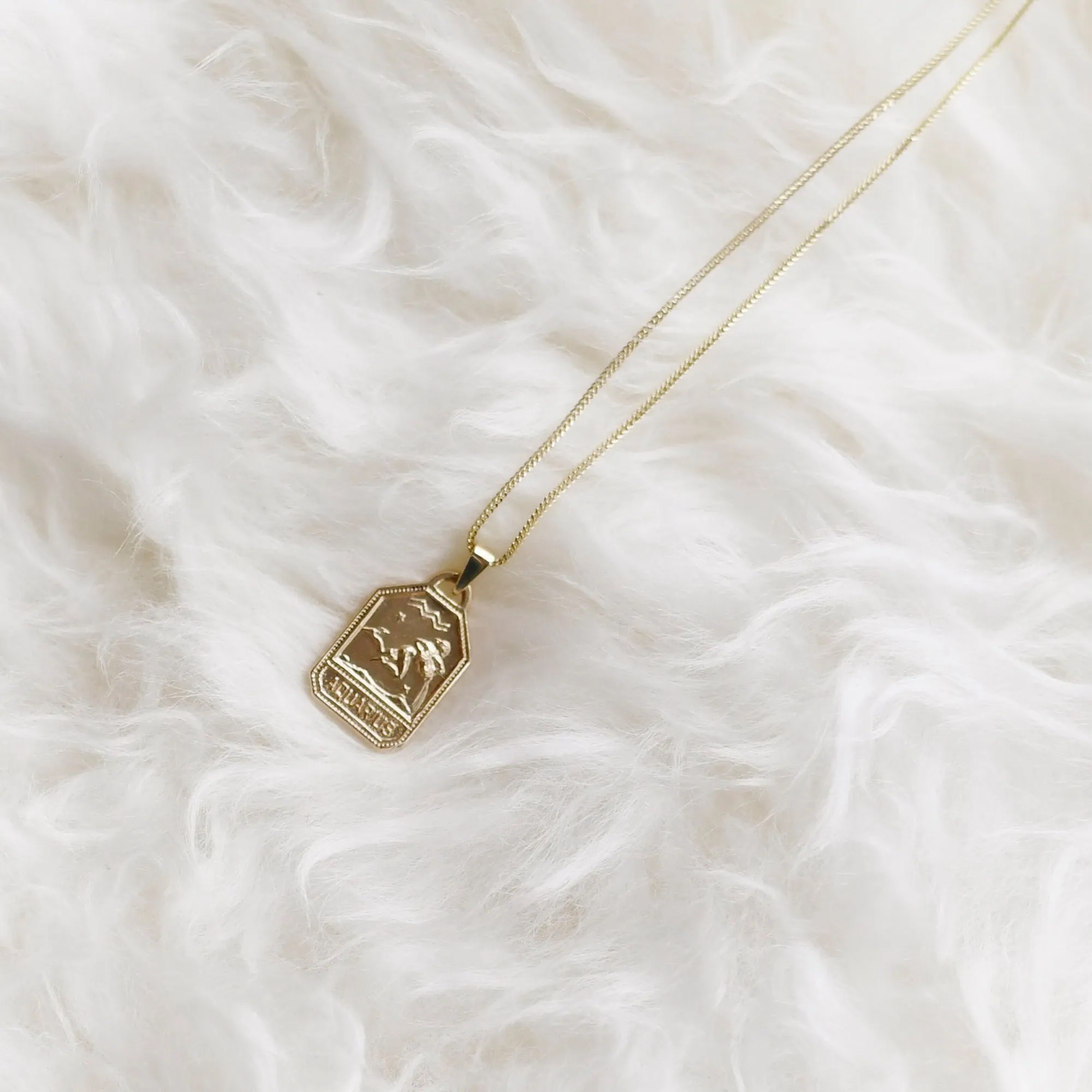 Zodiac Dog Tag Necklace