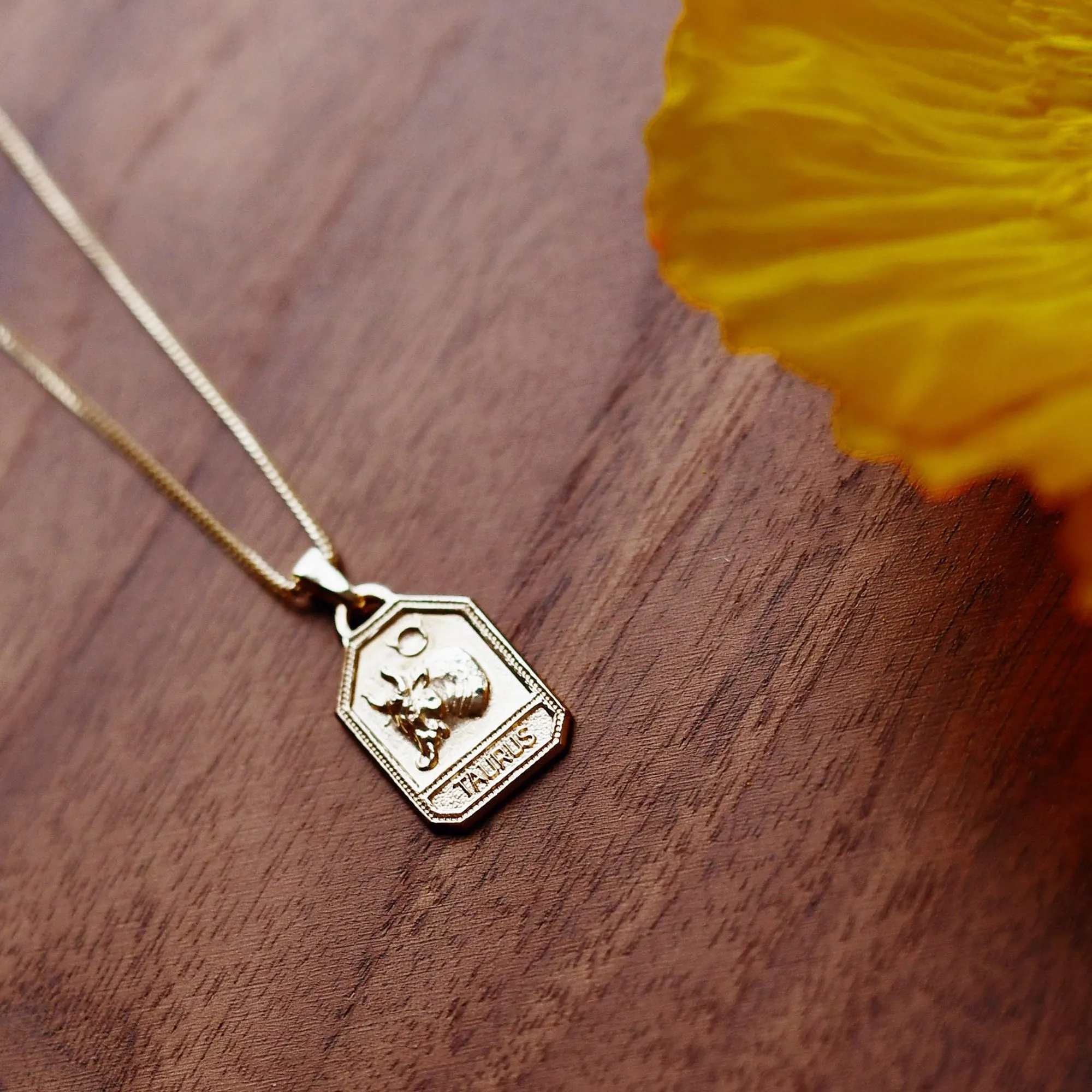 Zodiac Dog Tag Necklace